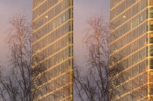 Fuji RAW, 100% Crop, Links LR4.3, Rechts LR4.4