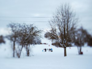 Winter im Olympiapark