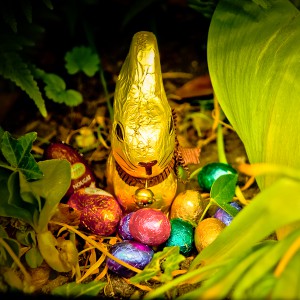 Frohe Ostern!