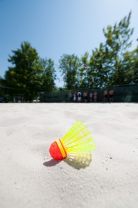 Speedminton Ball