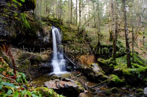 Wasserfall auf dem Weg zur Schwarztenn Alm